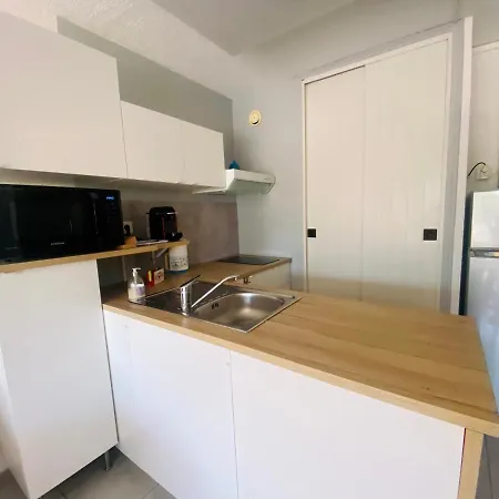 Le Centurion 1ere Ligne Apartment *